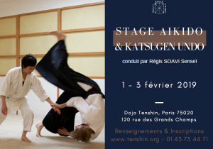 stage fevrier 2019